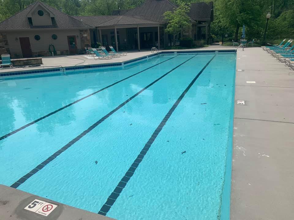 Pool with tanning ledge and loungers